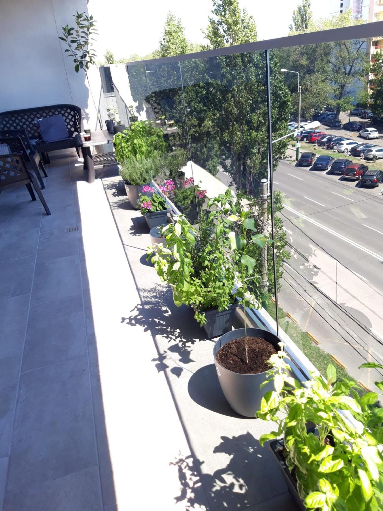 Elysse Sunrise Apartment Mamaia Dış mekan fotoğraf
